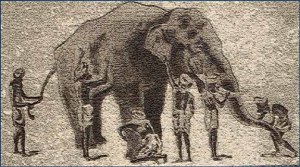 elephant6blindmen